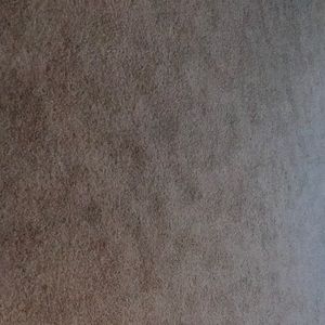 Ralph Lauren Size 12, 29 inseam Ladies Jeans